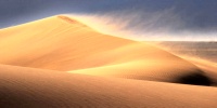 La désertification touche plus de 78% du territoire mauritanien (officiel) 