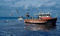 La présence d'un bateau de pêche « dangereux » dénoncée par un parti (…) 