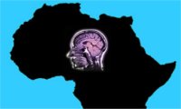 Le Maghreb face à la fuite de ses cerveaux 