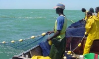 Les pêcheurs sénégalais quittent la Mauritanie 