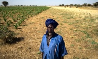 Les villageois sans terre de Mauritanie, obligés d'aller enterrer leurs (…) 