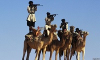 L'Union Européenne déconcerte les Mauritaniens en leur offrant des chameaux 
