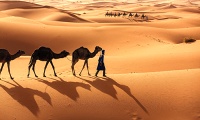 La "grande muraille verte" : en Mauritanie, la difficile lutte contre (…)