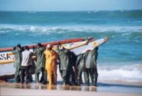 Accords Sénégal-Mauritanie : Les licences de pêche bientôt renouvelées 