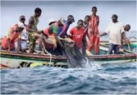 « Favoriser le partenariat entre pêcheurs sénégalais et mauritaniens, pour (…) 
