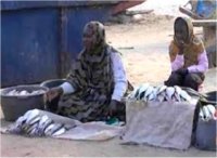 Rareté du poisson sur les marchés mauritaniens 