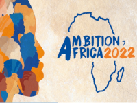 Ambition Africa : renforcer les liens économiques et commerciaux avec l'Afrique 