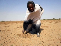 1,6 milliard de dollars nécessaires au Sahel 