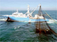 Accord de pêche, la Mauritanie fait mieux que le Maroc 
