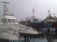Repos biologique de la pêche industrielle observé en Mauritanie 