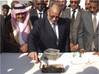 Farmex s'impose en Mauritanie 