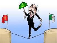 Mauritanie : Ould Abdelaziz, entre le marteau algérien et l'enclume marocaine 