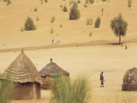 Mauritanie : « Nos ancêtres les nomades », visite guidée du Musée national 