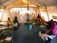 Mauritanie : quatre morts de fièvre de la vallée du Rift 