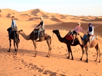 Mauritanie : le tourisme sous de bons augures 