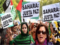 Sahara Occidental : histoire d'un conflit gelé 