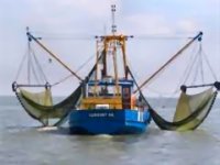 Accord sur la pêche : avis de tempête entre le Maroc et l'Europe 