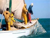 Nouvelle stratégie de pêche entre le Sénégal et la Mauritanie