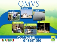 Plan directeur de développement du réseau de transport électrique L'OMVS (…)