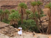 Tourisme-Bruxelles : Le calvaire des amis de la Mauritanie 