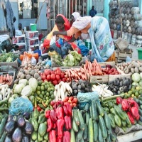 39 millions de dollars de la FAO pour la sécurité alimentaire en Mauritanie 