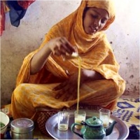 Mauritanie : quand des lobbys bloquent un projet sucrier majeur